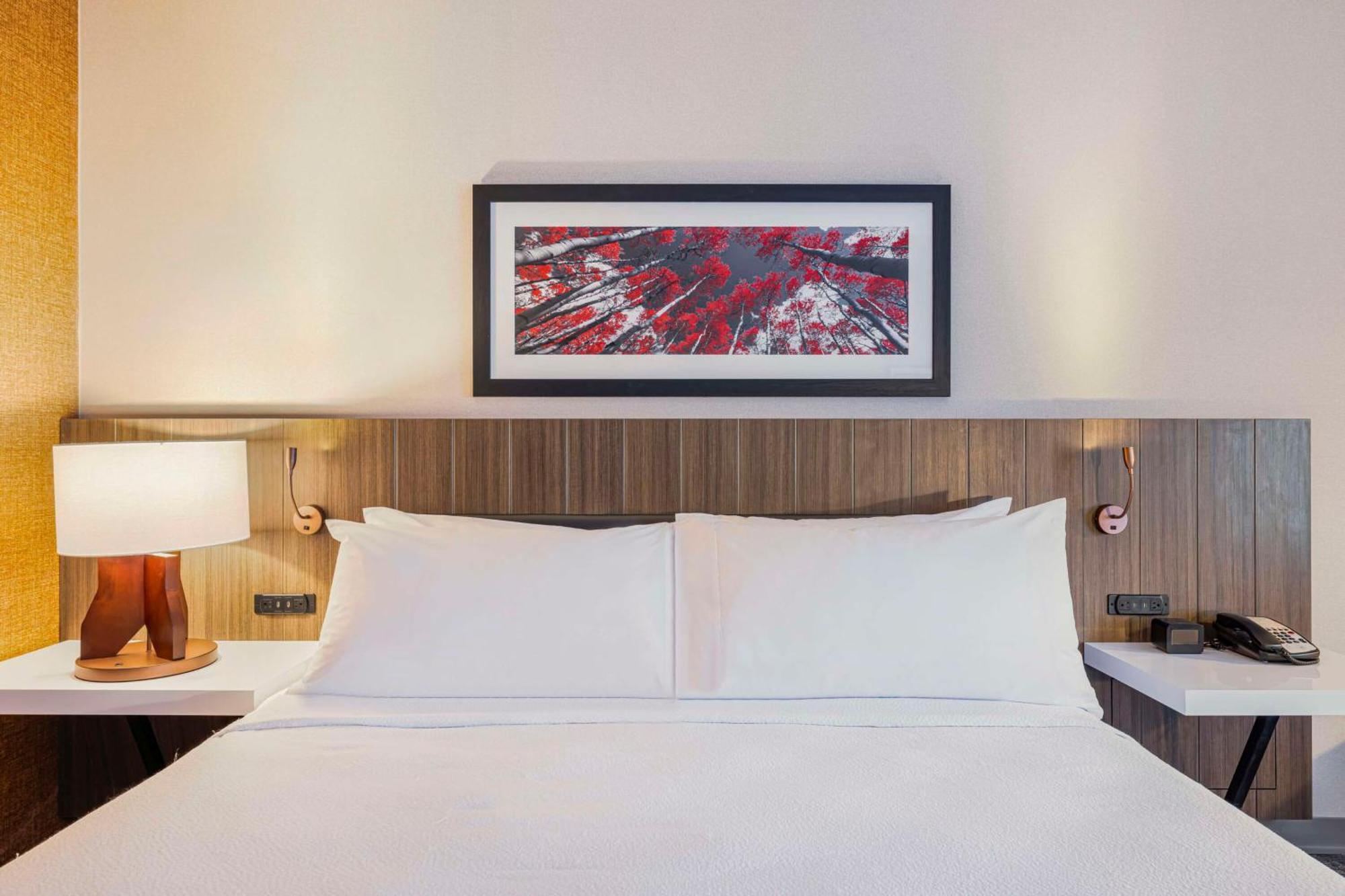 Hilton Garden Inn Colorado Springs Airport Экстерьер фото